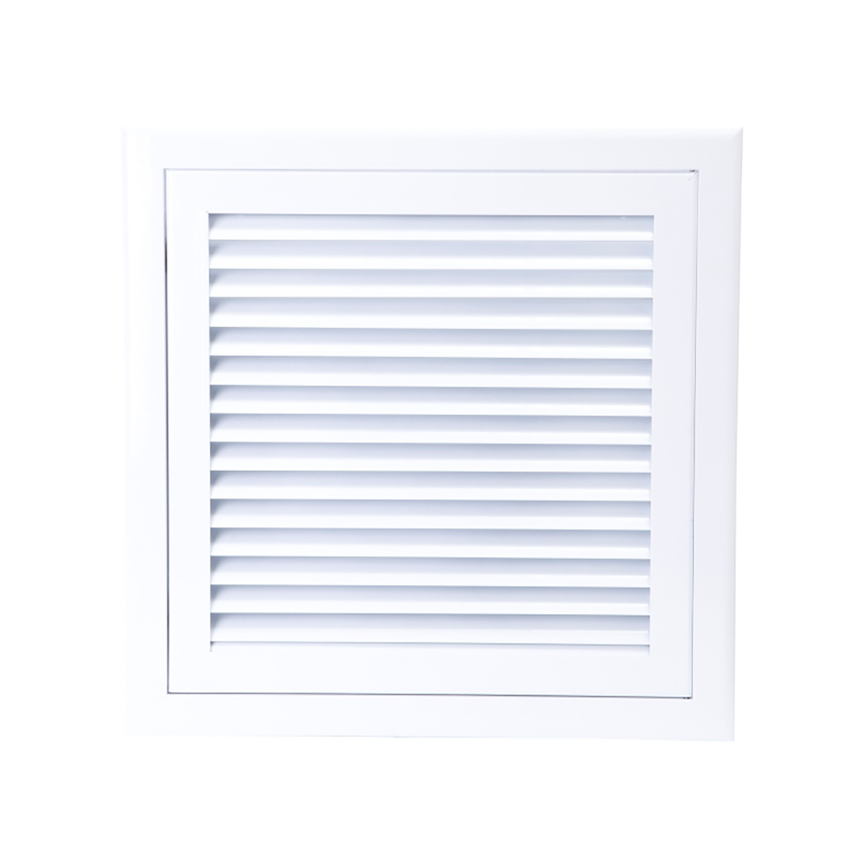 BADWB Inspektionslem