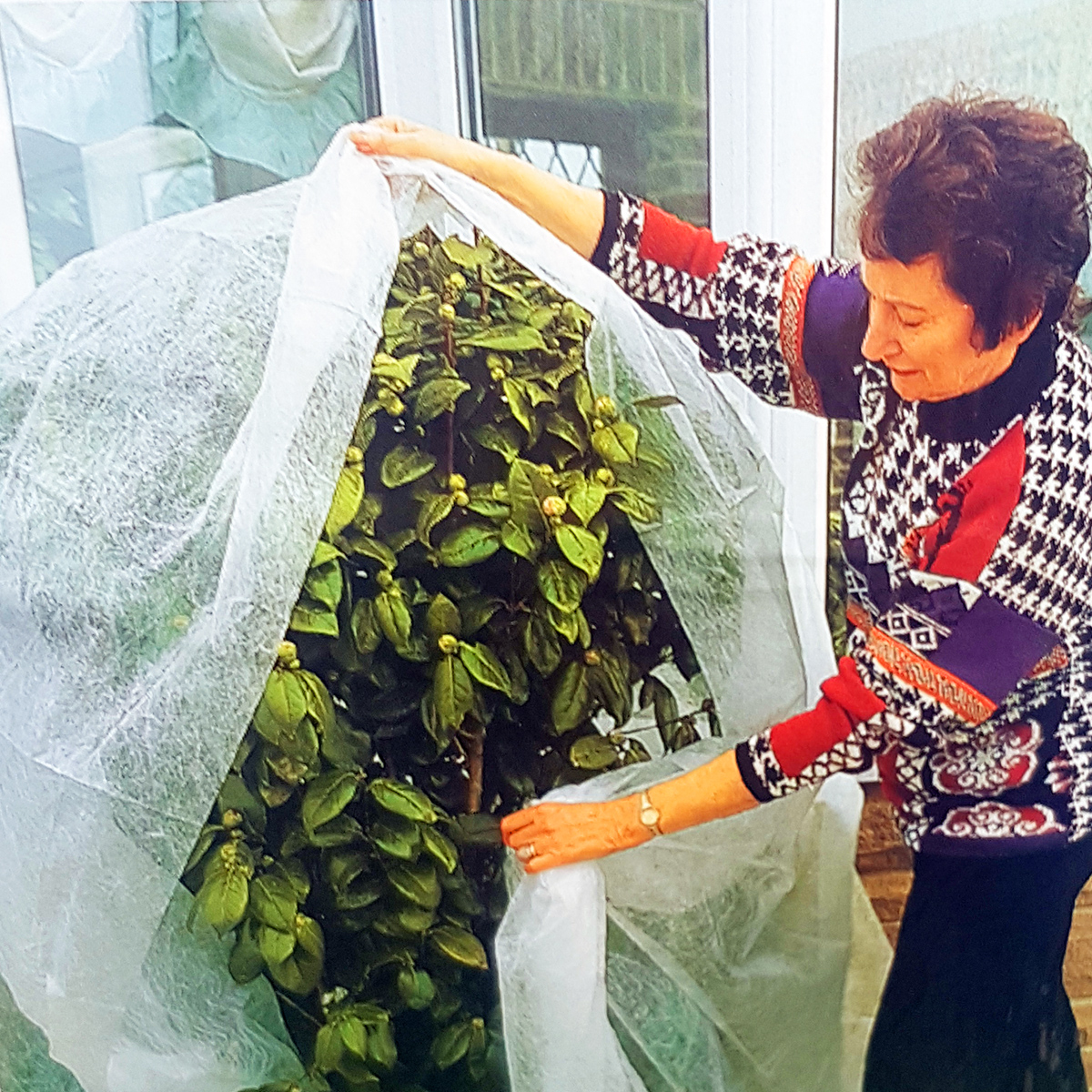 Plantex ProtecMax - geotekstil 1x20 meter