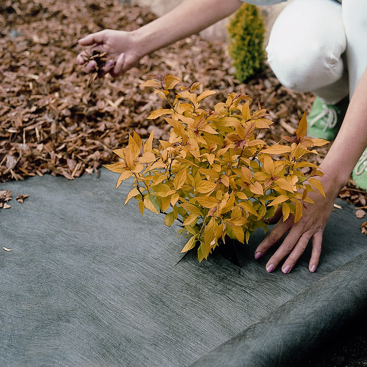 Plantex ukrudsduge og haveduge