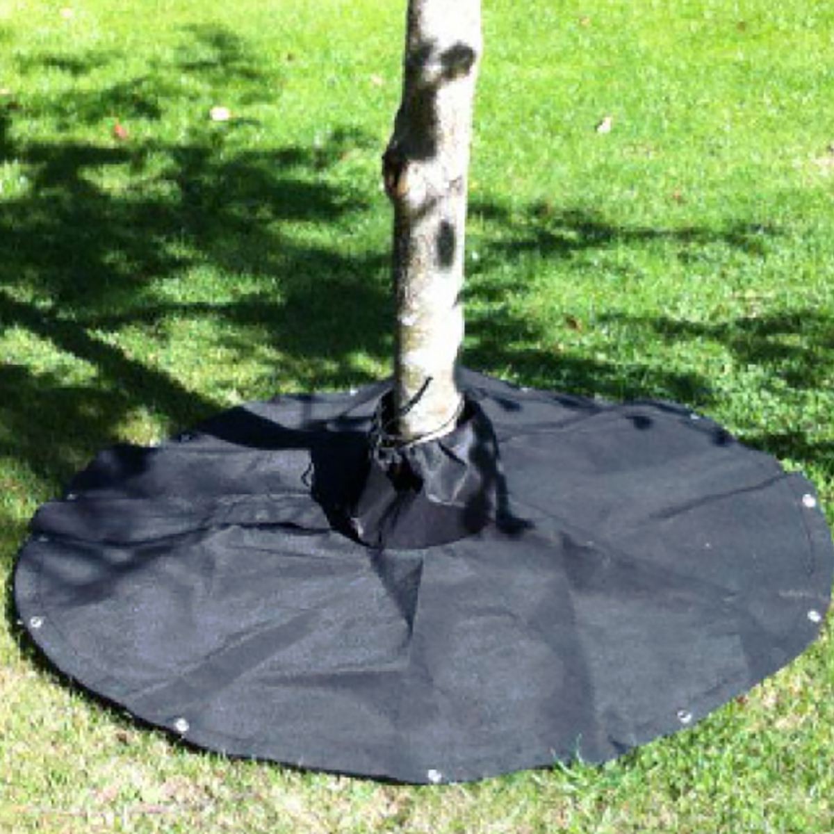 Ukrudtsdug til solitæretræer 