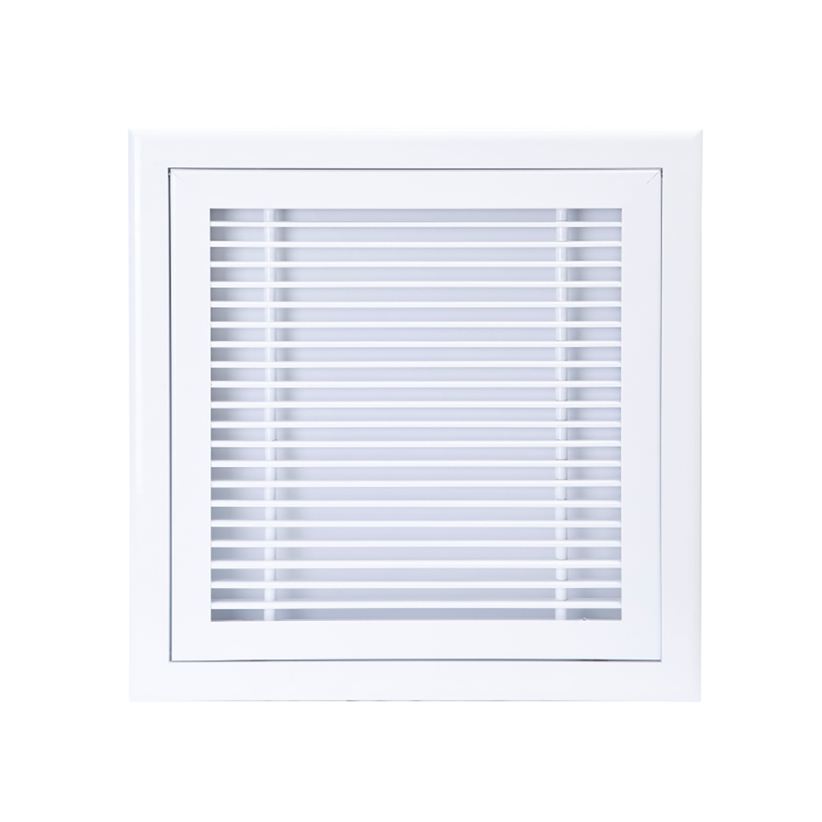 BADLG Inspektionslem