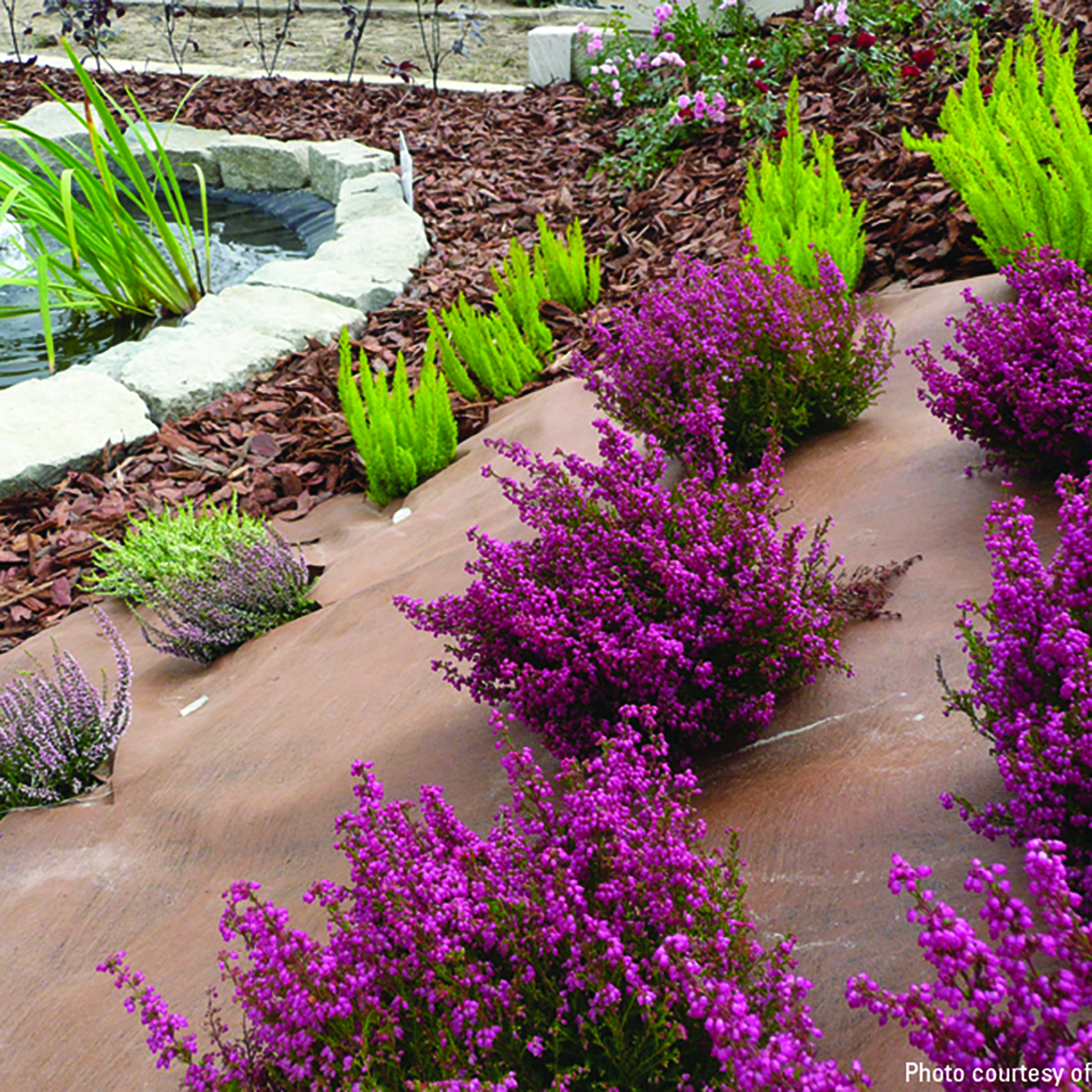 Plantex® Premium Plus Weedmax